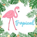 Cute cartoon pink flamingo on white background, wild tropical bird with exotic leaves and flowers, hand lettering, editable vector Royalty Free Stock Photo